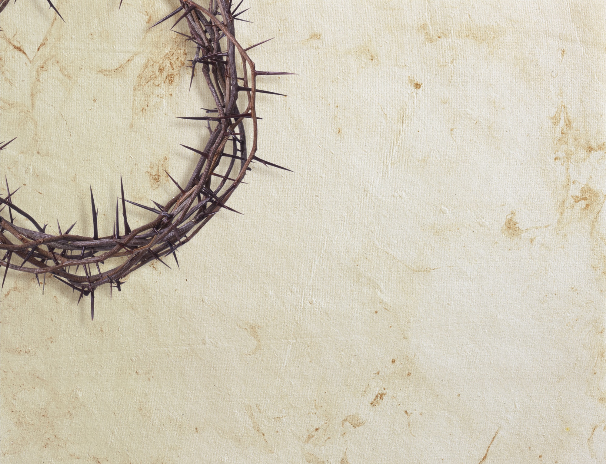 Crown of Thorns on White Paper Background